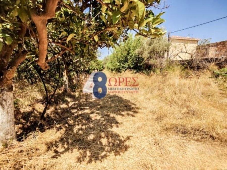 Land in Chios, Aegean, Greece 5 - 14792573