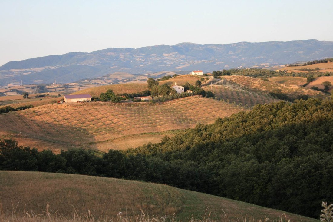 Farm Ranch in Campagnatico, Tuscany, Italy 5 - 12658445