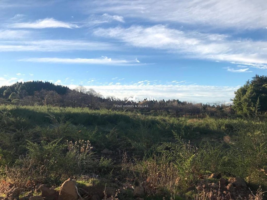 Finca in La Matanza de Acentejo, Canary Islands, Spain 5 - 14794010