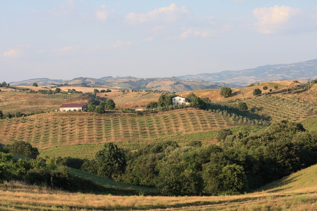 Farm Ranch in Campagnatico, Tuscany, Italy 4 - 12658445