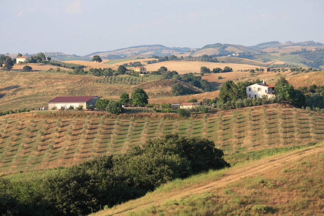 Farm Ranch in Campagnatico, Tuscany, Italy 3 - 12658445