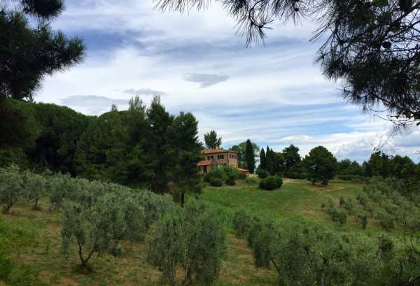 Villa in Chianni, Tuscany, Italy 5 - 14793814