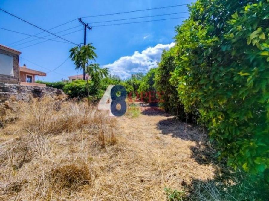 Land in Chios, Aegean, Greece 2 - 14792573