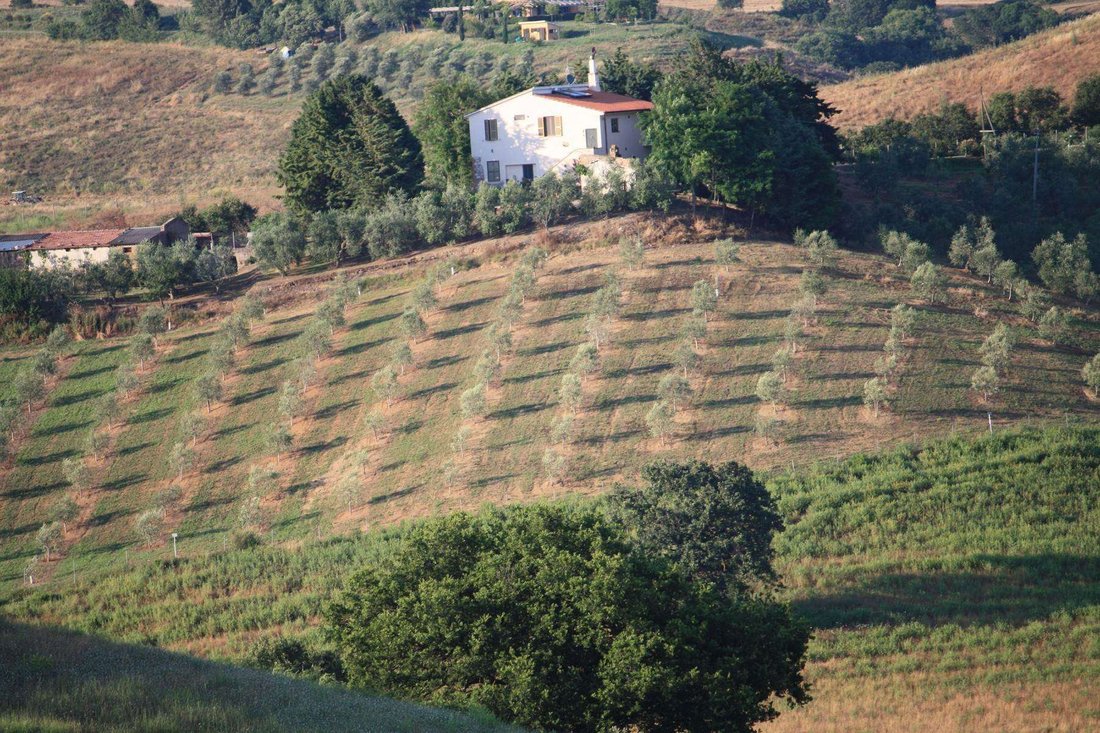 Farm Ranch in Campagnatico, Tuscany, Italy 2 - 12658445