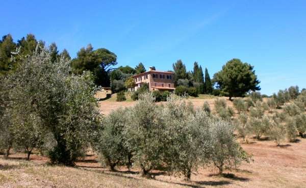 Villa in Chianni, Tuscany, Italy 2 - 14793814