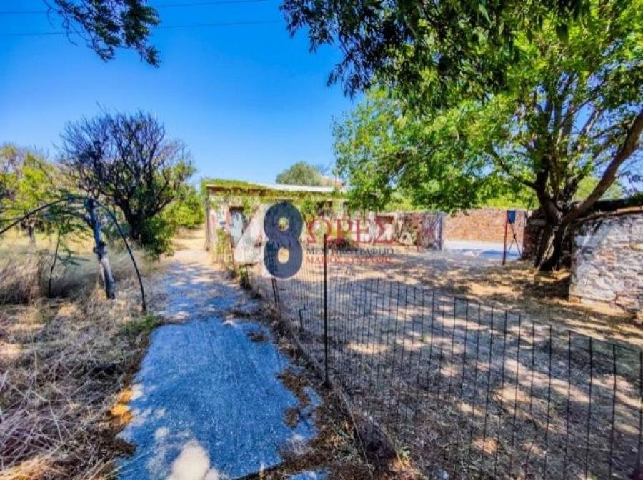 Land in Chios, Aegean, Greece 3 - 14792573