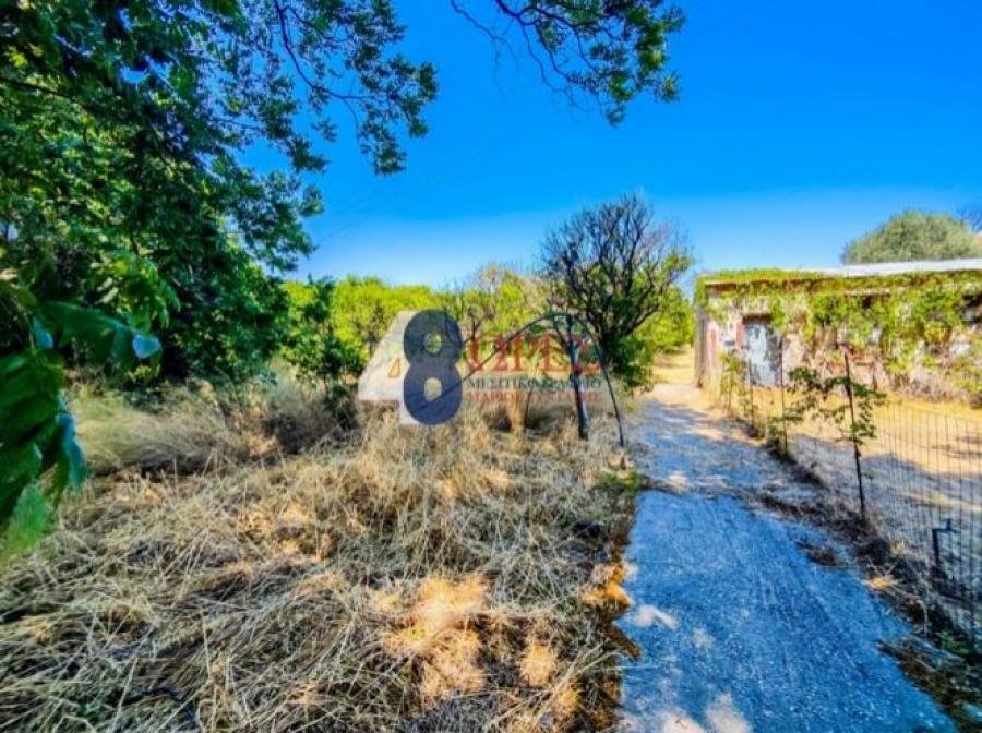 Land in Chios, Aegean, Greece 4 - 14792573