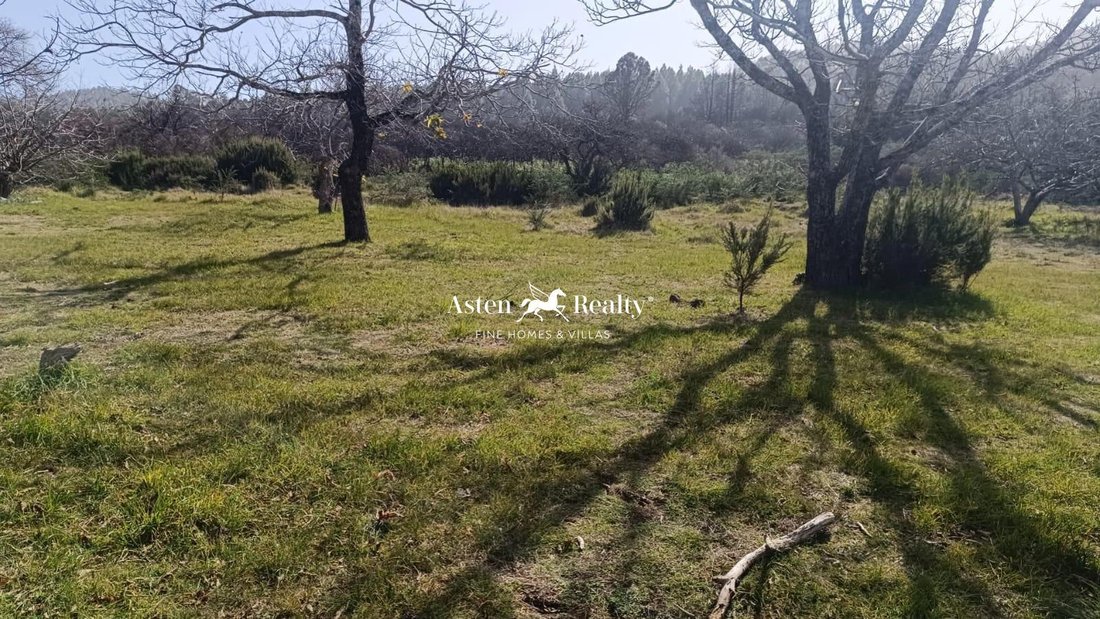 Finca in La Matanza de Acentejo, Canary Islands, Spain 4 - 14794010