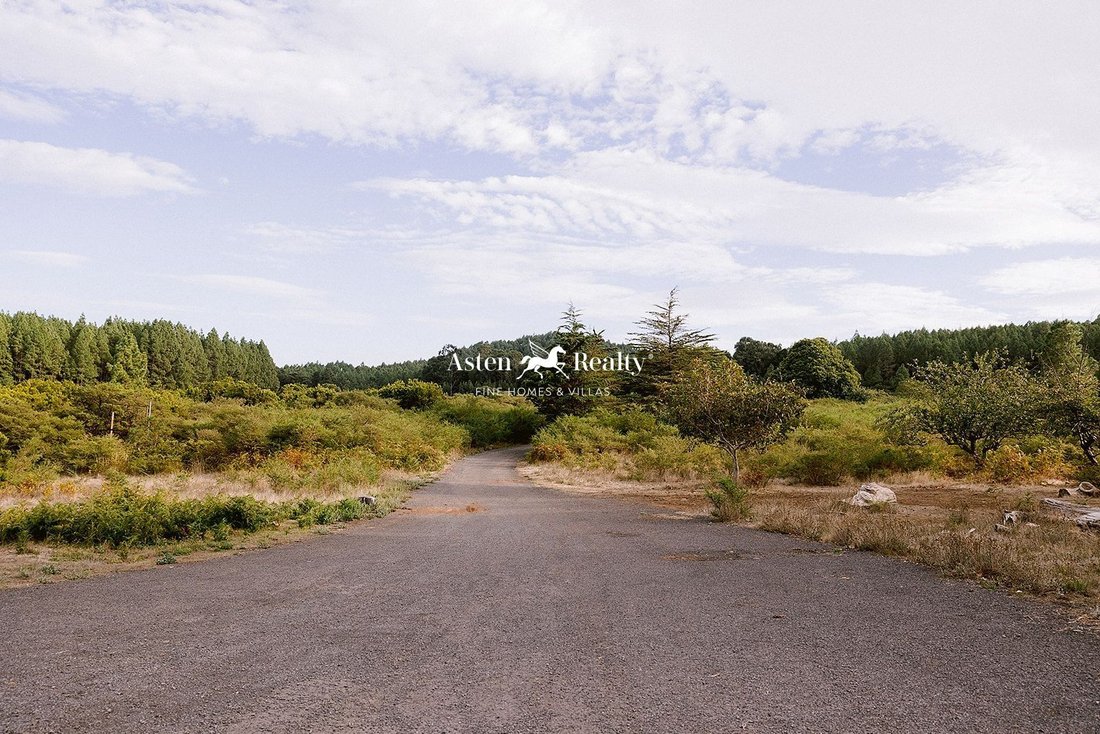 Finca in La Matanza de Acentejo, Canary Islands, Spain 3 - 14794010