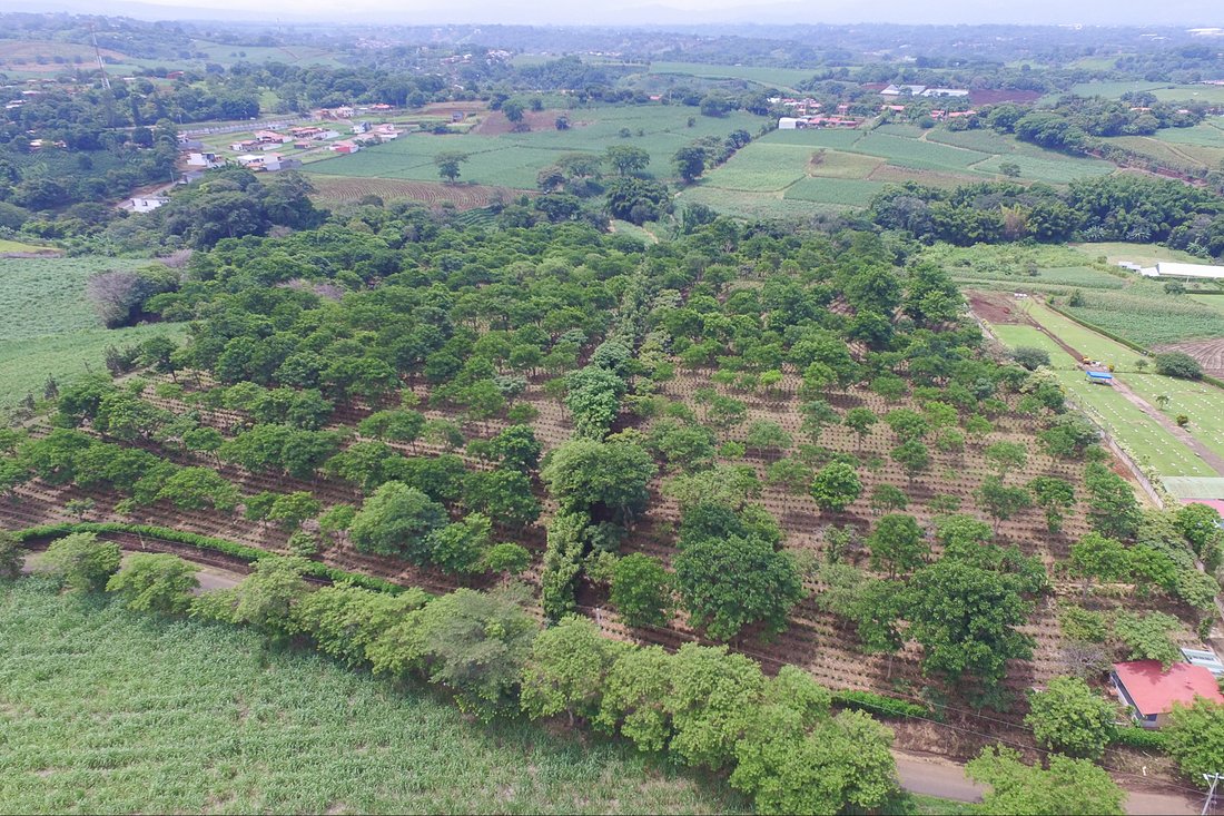 Finca in Grecia, Guanacaste Province, Costa Rica 1 - 14804916