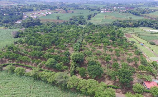 Finca in Grecia, Guanacaste Province, Costa Rica 1