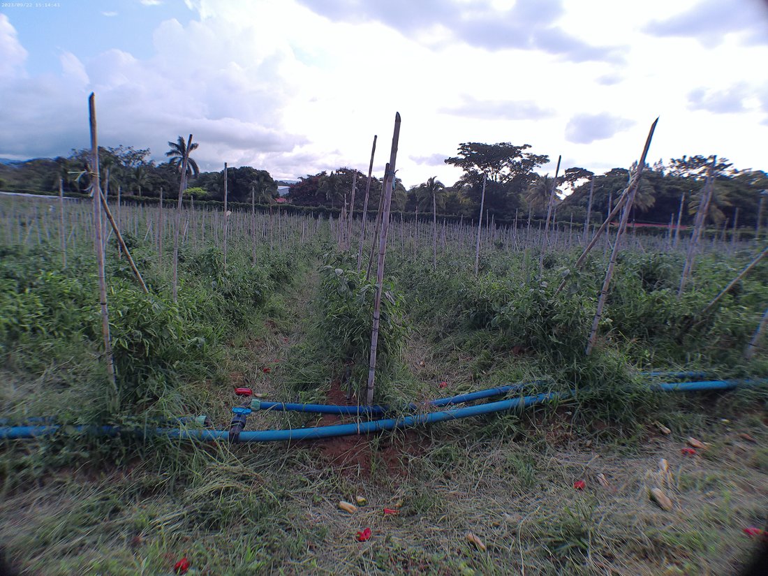 Land in San Rafael, Alajuela Province, Costa Rica 5 - 14804907