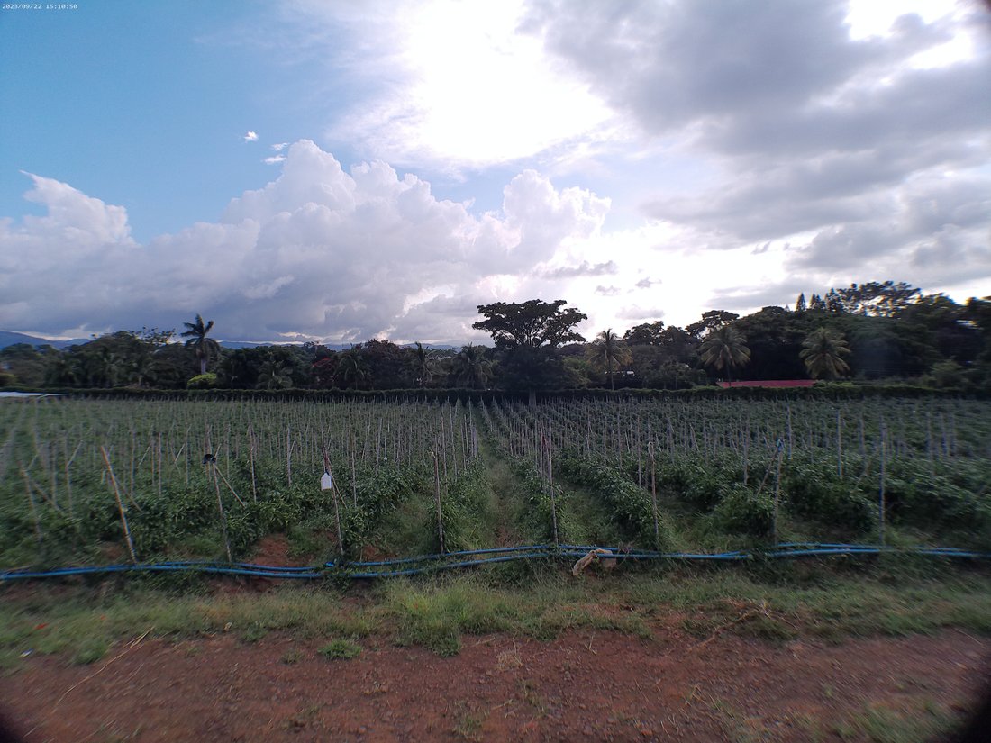 Land in San Rafael, Alajuela Province, Costa Rica 4 - 14804907