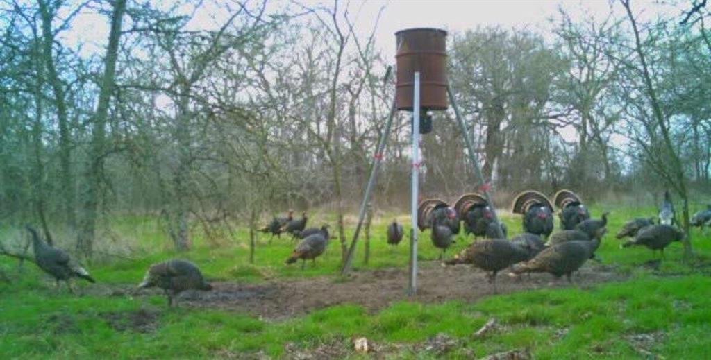 Lots And Land Collinsville In Collinsville, Texas, United States For