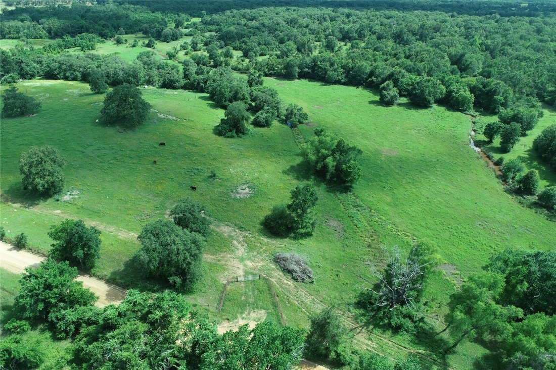 Farm Ranch in Milano, Texas, United States 5 - 14797063