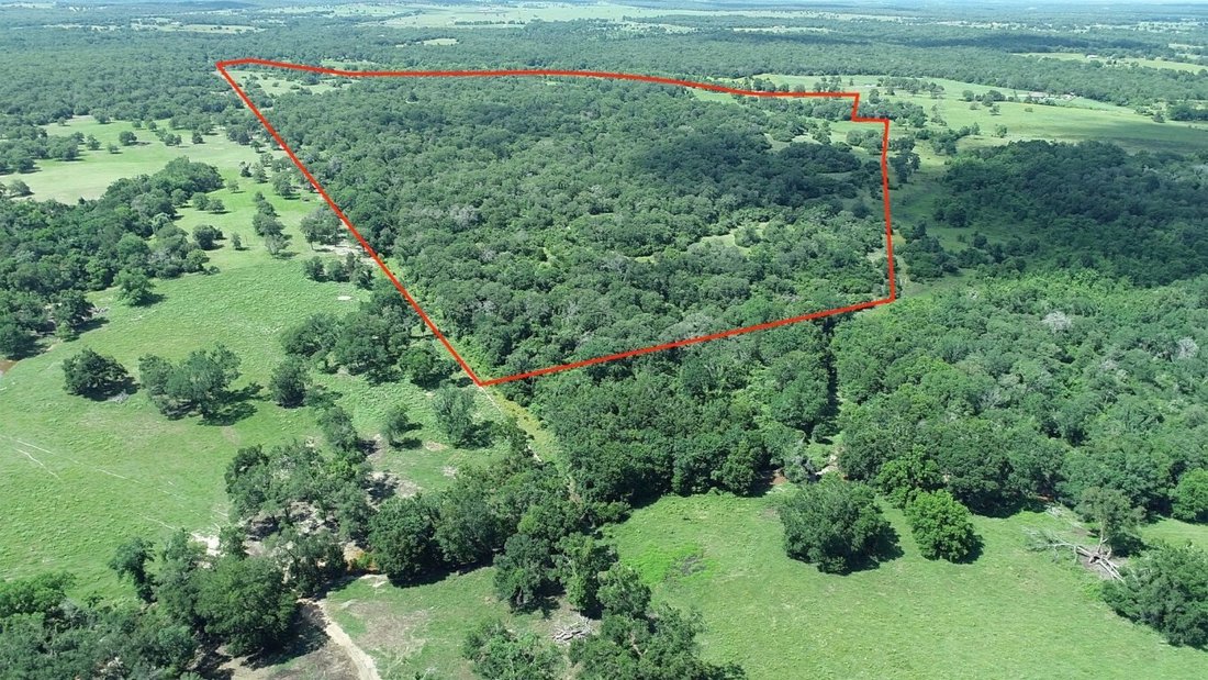 Farm Ranch in Milano, Texas, United States 3 - 14797063