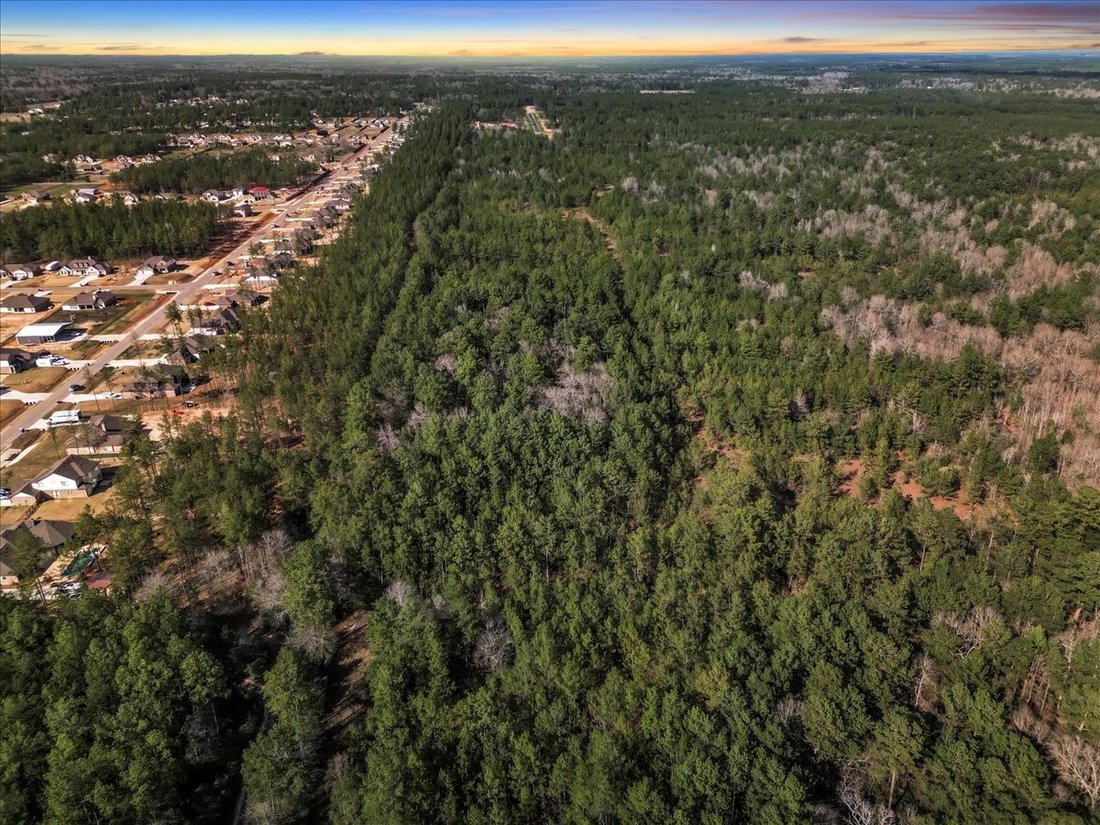Terreno a Conroe, Texas, Stati Uniti 1 - 14800233