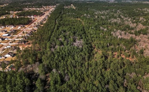 Terreno a Conroe, Texas, Stati Uniti 1