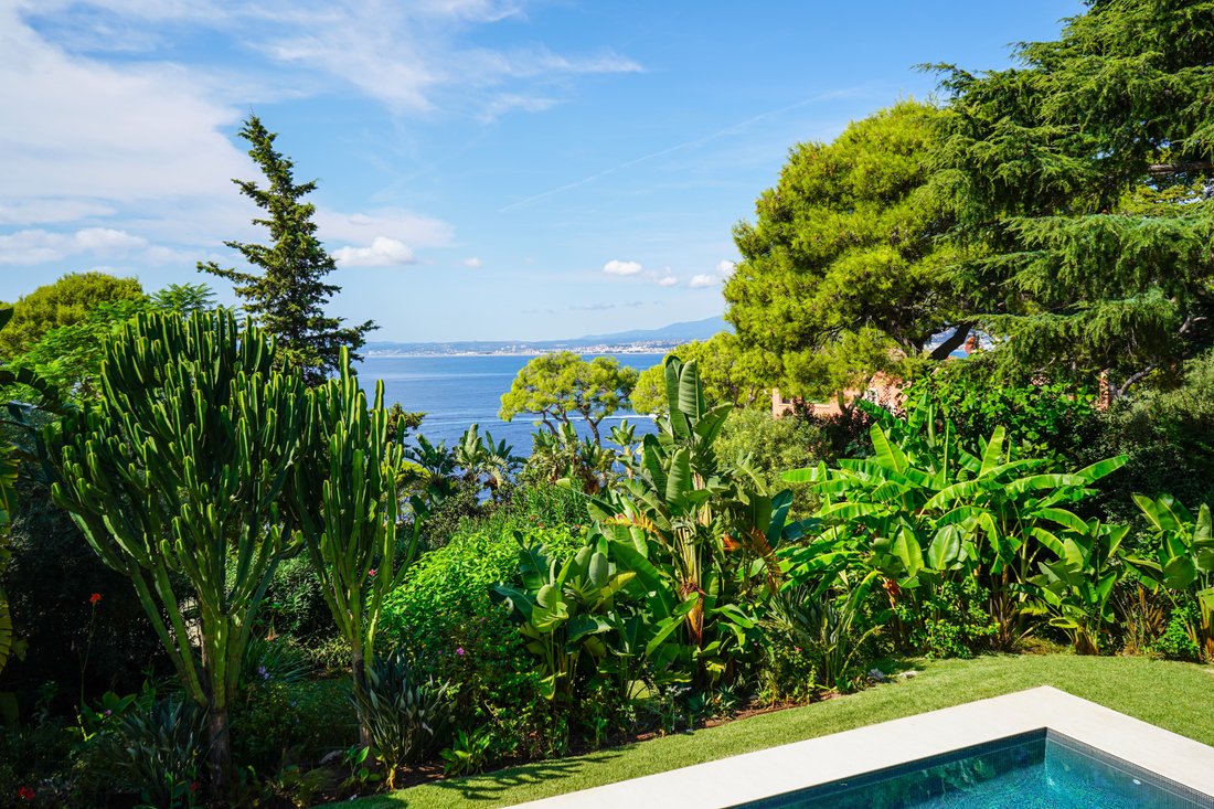 Villa in Saint-Jean-Cap-Ferrat, Provence-Alpes-Côte d'Azur, France 2 - 14794920