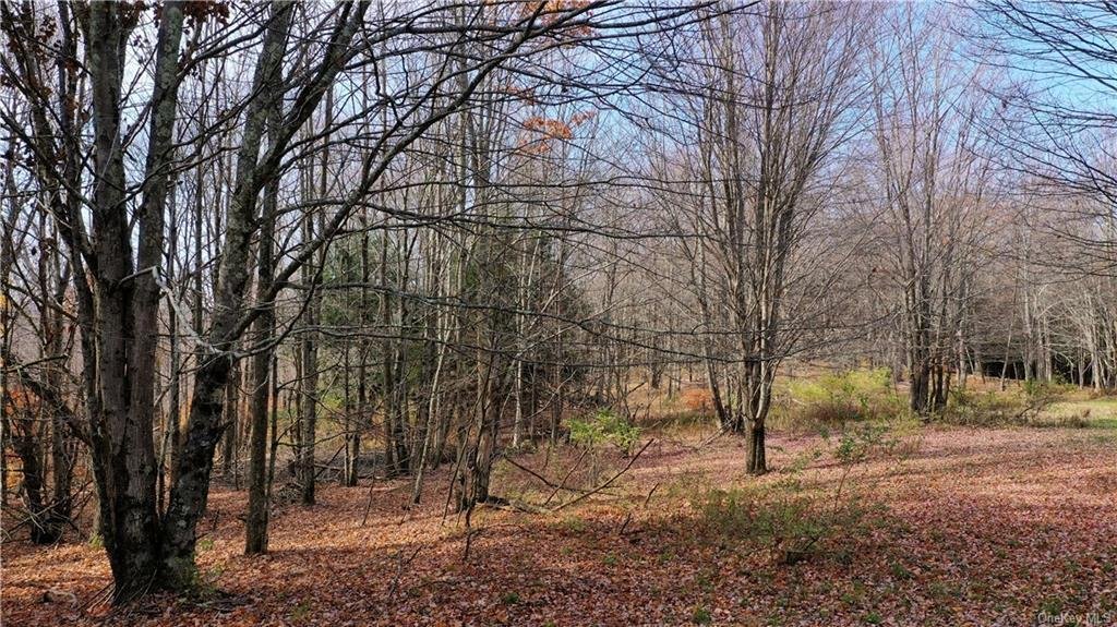 46676 State Highway 30, Middletown, In Margaretville, New York, United