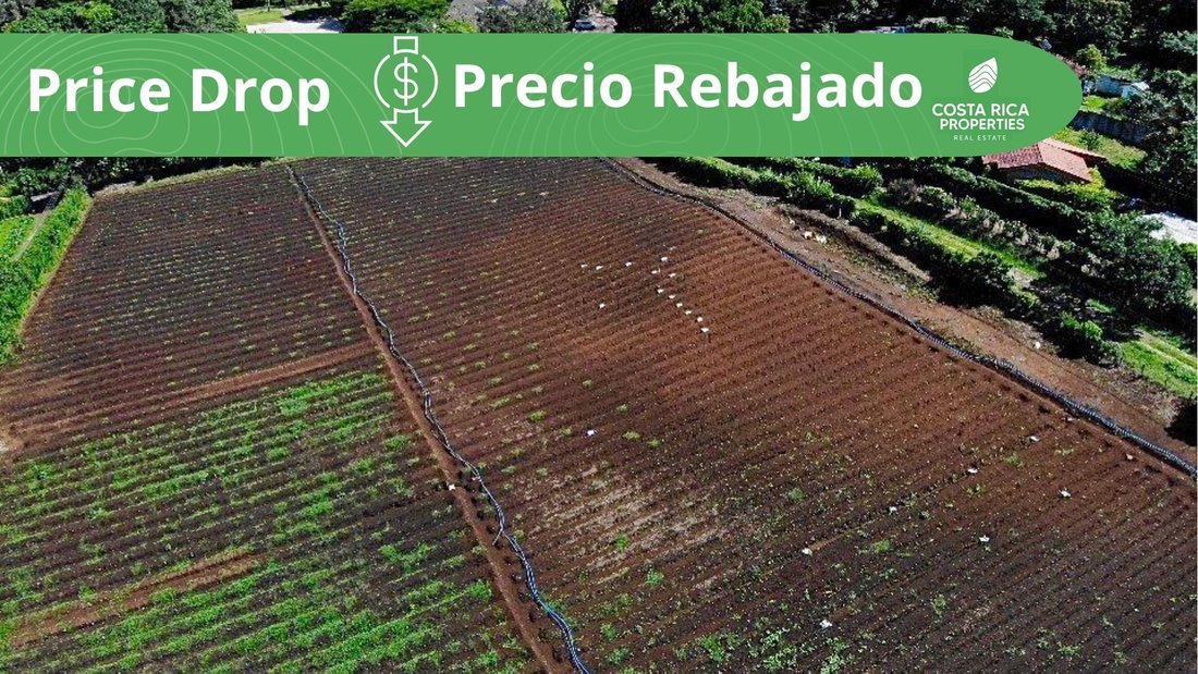 Land in San Rafael, Alajuela Province, Costa Rica 1 - 14804907