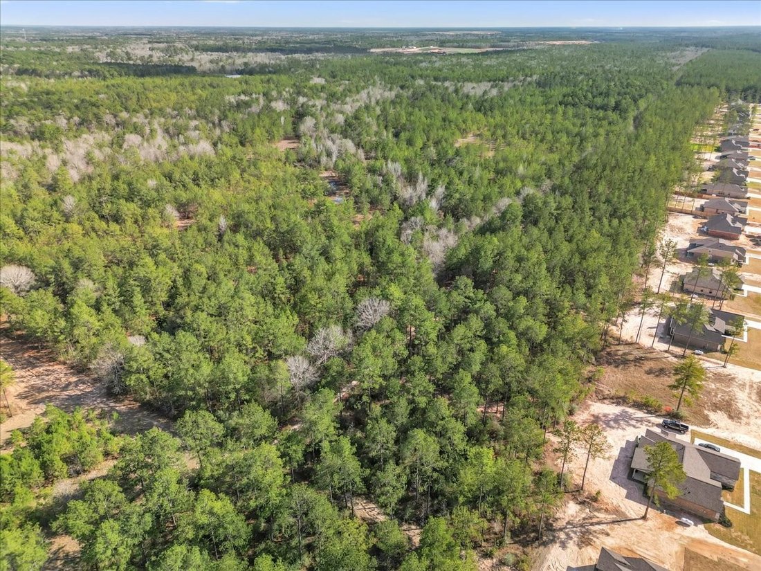 Terreno a Conroe, Texas, Stati Uniti 2 - 14800233