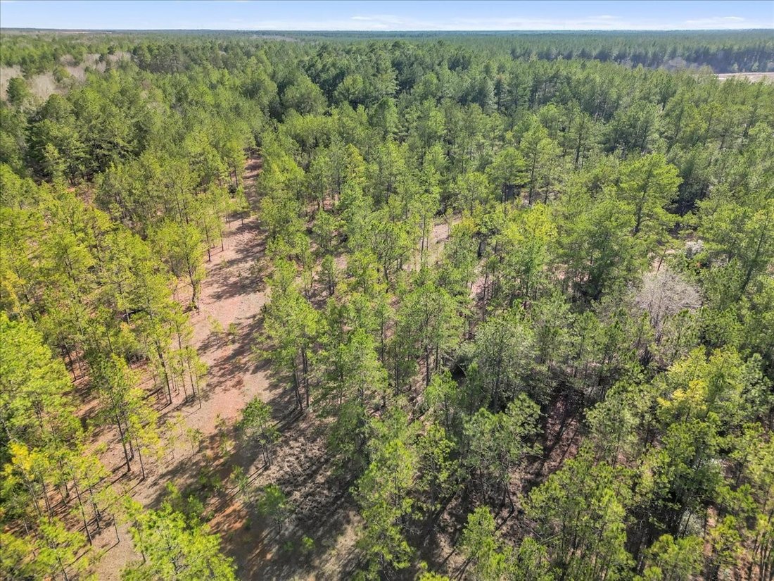 Terreno a Conroe, Texas, Stati Uniti 4 - 14800233