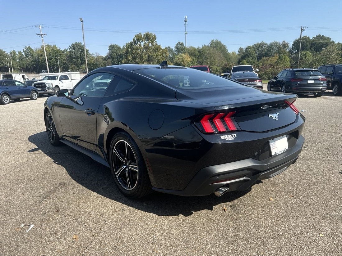 2024 Ford Mustang In Memphis, Tn, United States For Sale (14781076)