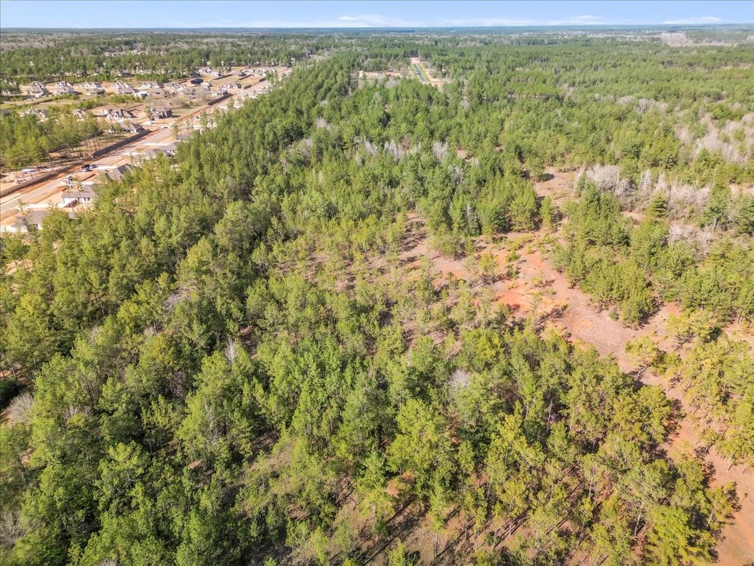 Terreno a Conroe, Texas, Stati Uniti 3 - 14800233