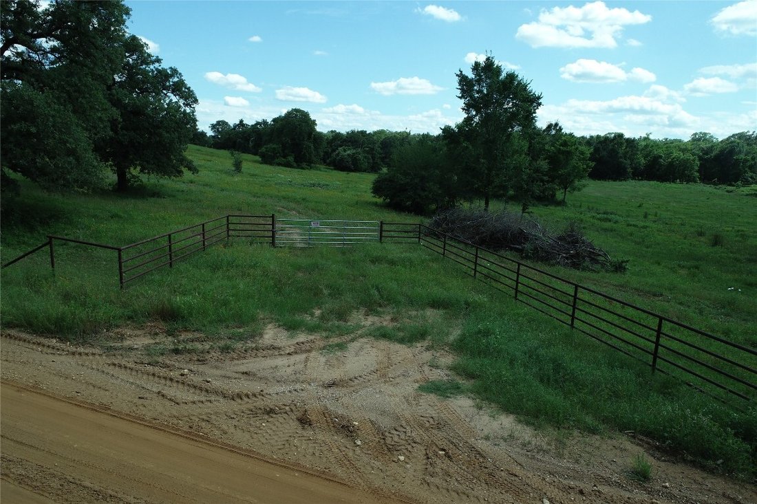 Farm Ranch in Milano, Texas, United States 4 - 14797063