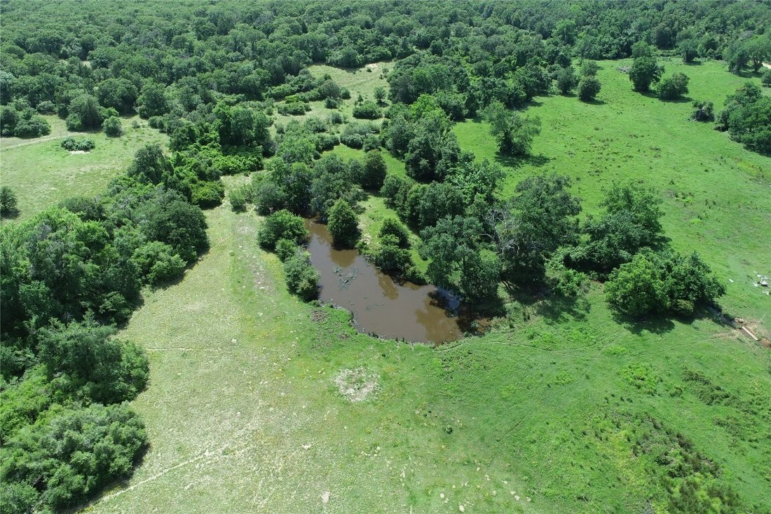 Farm Ranch in Milano, Texas, United States 2 - 14797063