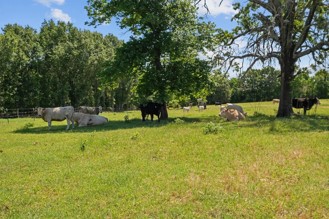 Casa a Tyler, Texas, Stati Uniti 3 - 14797966