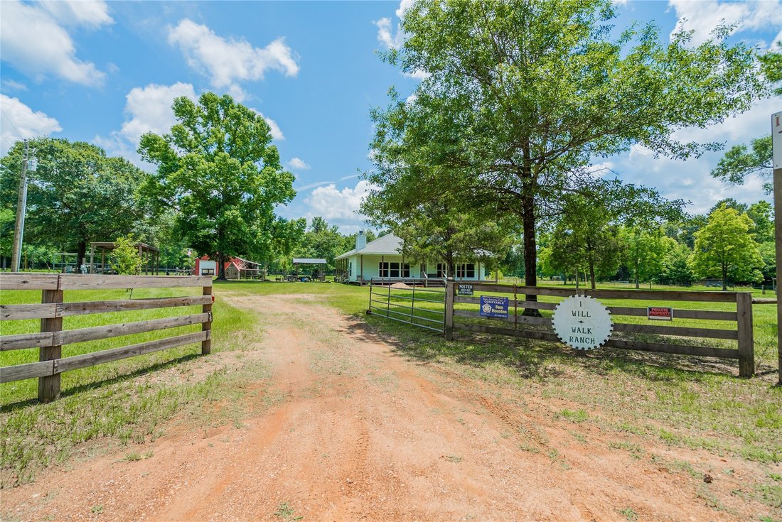 Farm Ranch in New Waverly, Texas, United States 1 - 14798353