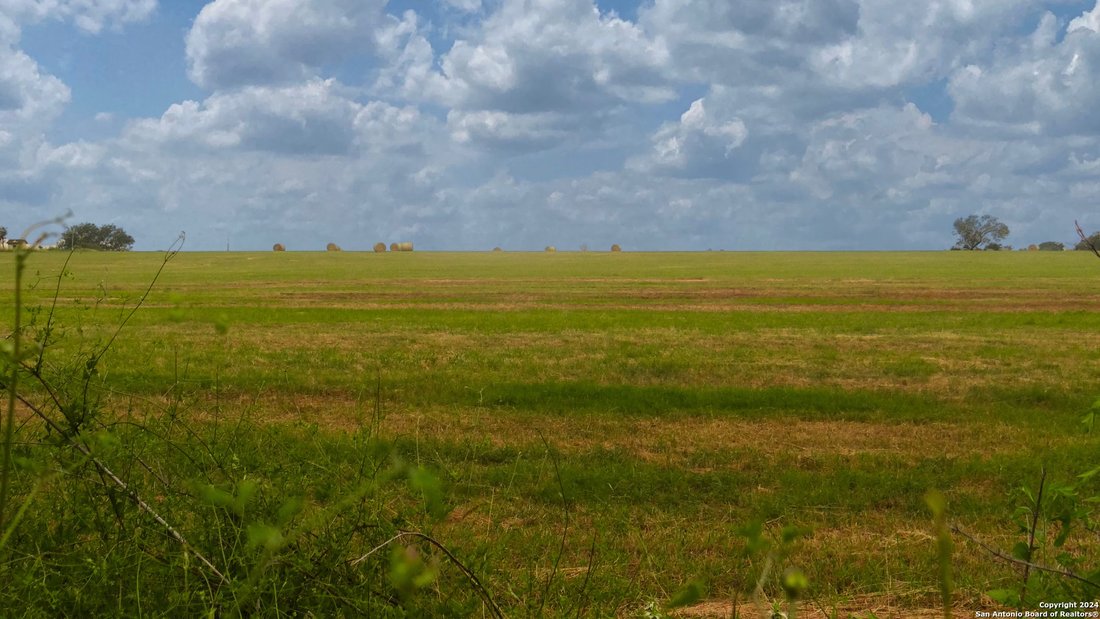 Farm And Agriculture San Antonio In San Antonio, Texas, United States