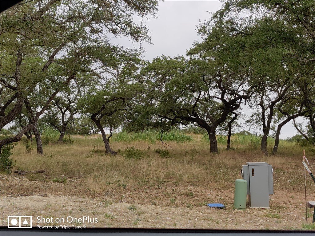 Land in Dripping Springs, Texas, United States 2 - 14796951