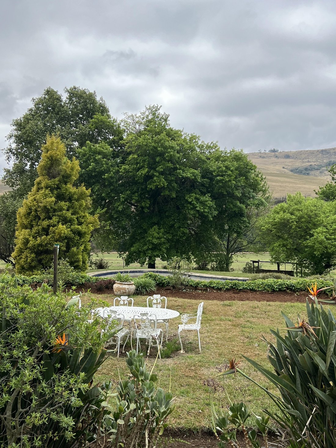 Farm Ranch in Mooi River, KwaZulu-Natal, South Africa 4 - 14799754