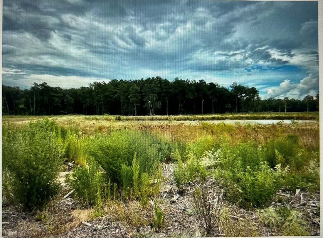 Land in Cleveland, Texas, United States 4 - 14798351