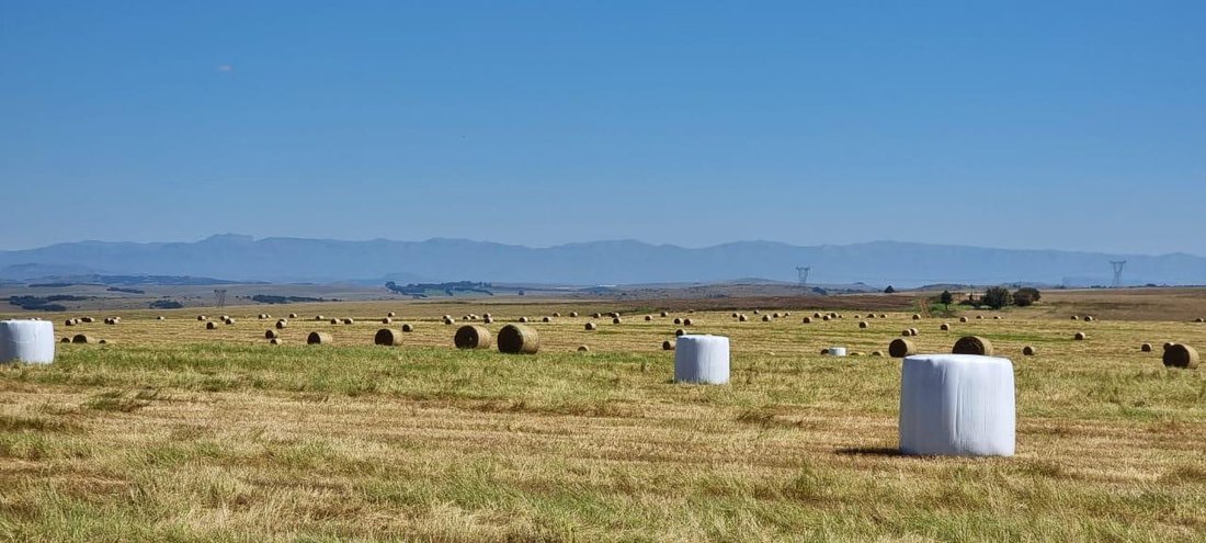Farm Ranch in Mooi River, KwaZulu-Natal, South Africa 2 - 14799754