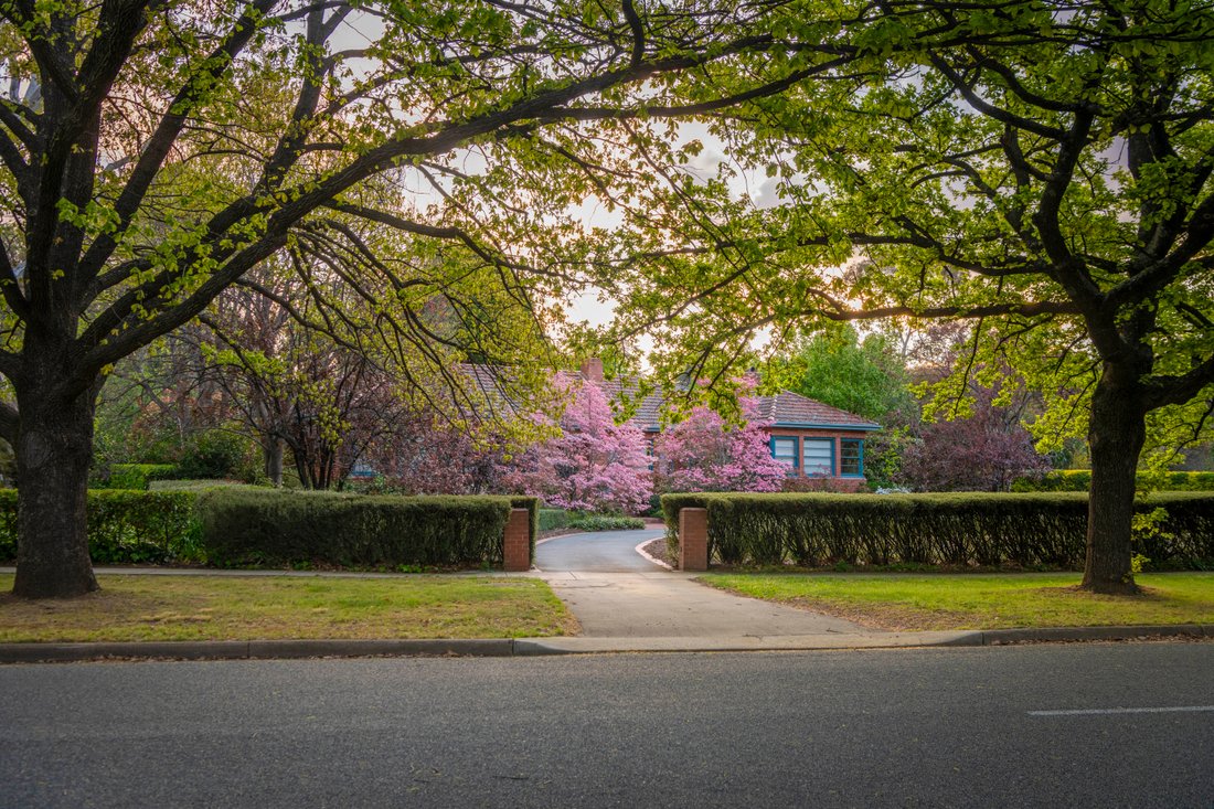 Charming Single Level In Deakin, Australian Capital Territory ...