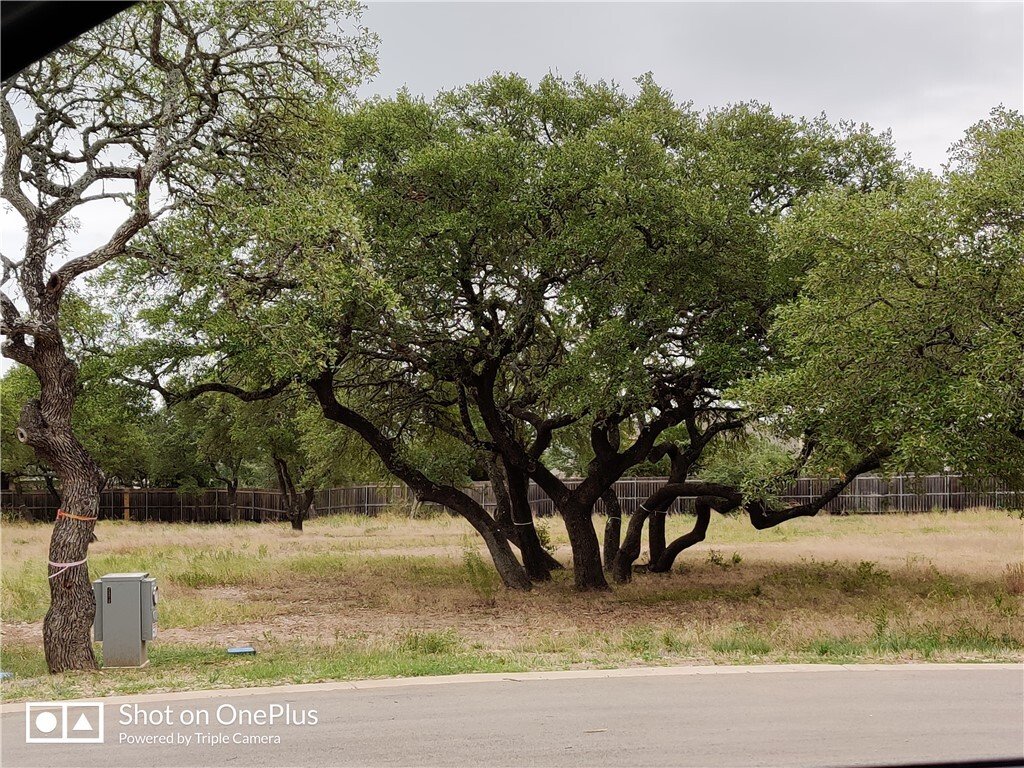 Land in Dripping Springs, Texas, United States 5 - 14796951