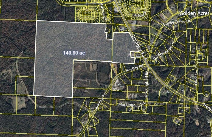 Land in Tuscaloosa, Alabama, United States 1 - 14800348