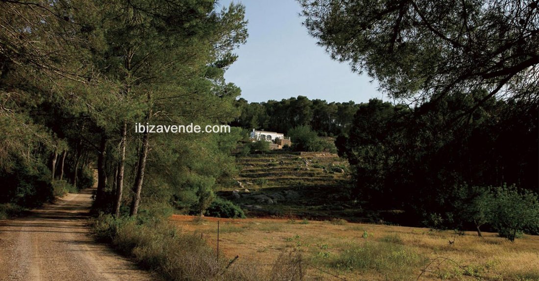 Finca in Sant Joan de Labritja, Balearic Islands, Spain 1 - 14799630