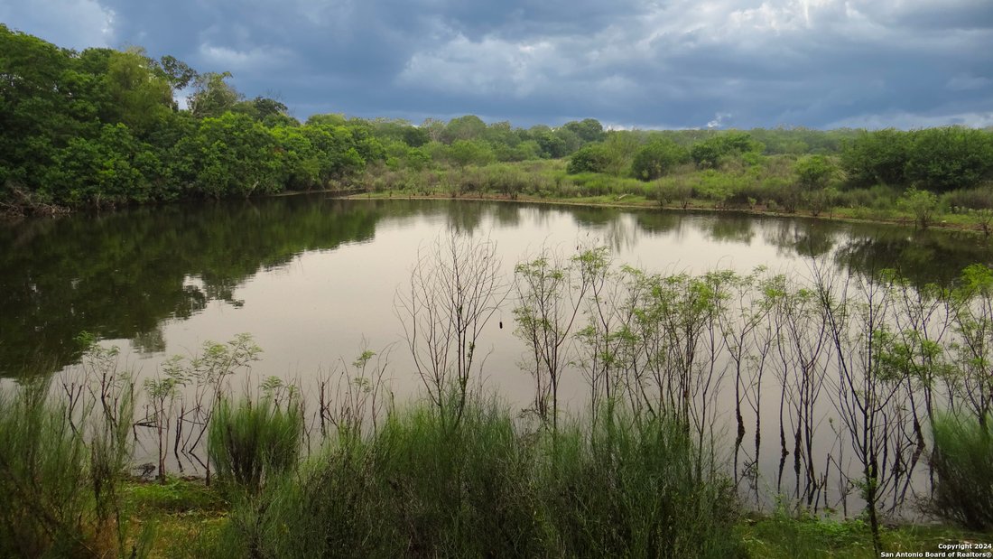 Farm And Agriculture San Antonio In San Antonio, Texas, United States