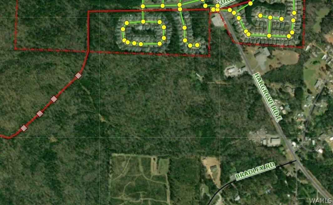 Land in Tuscaloosa, Alabama, United States 2 - 14800348