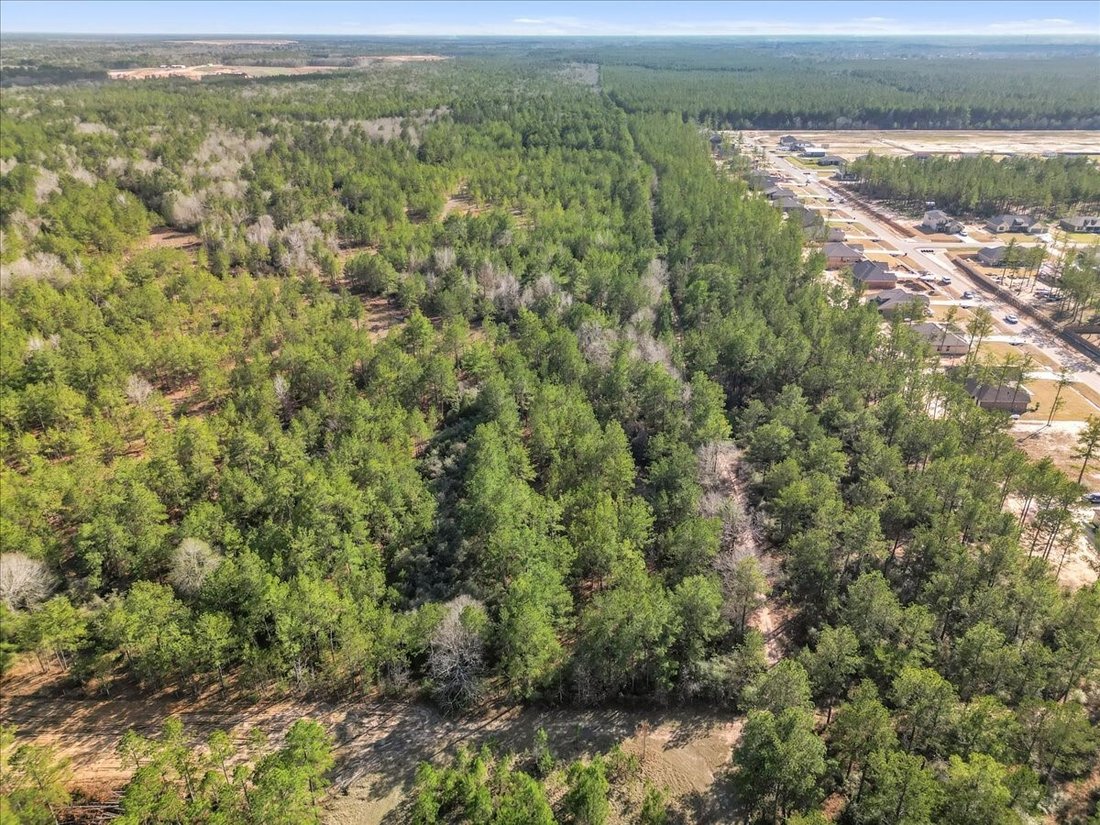 Terreno a Conroe, Texas, Stati Uniti 5 - 14800233