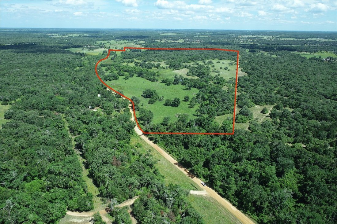 Farm Ranch in Milano, Texas, United States 1 - 14797063