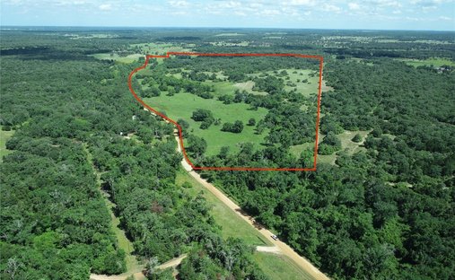 Farm Ranch in Milano, Texas, United States 1