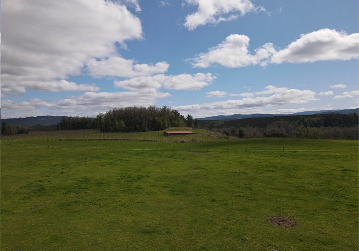 Farm Ranch in Cusileufu, Los Ríos, Chile 4 - 14808554