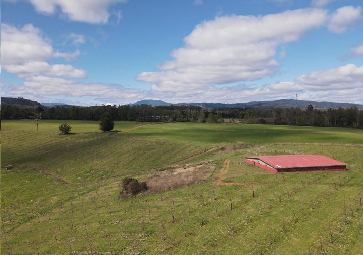 Farm Ranch in Cusileufu, Los Ríos, Chile 5 - 14808554