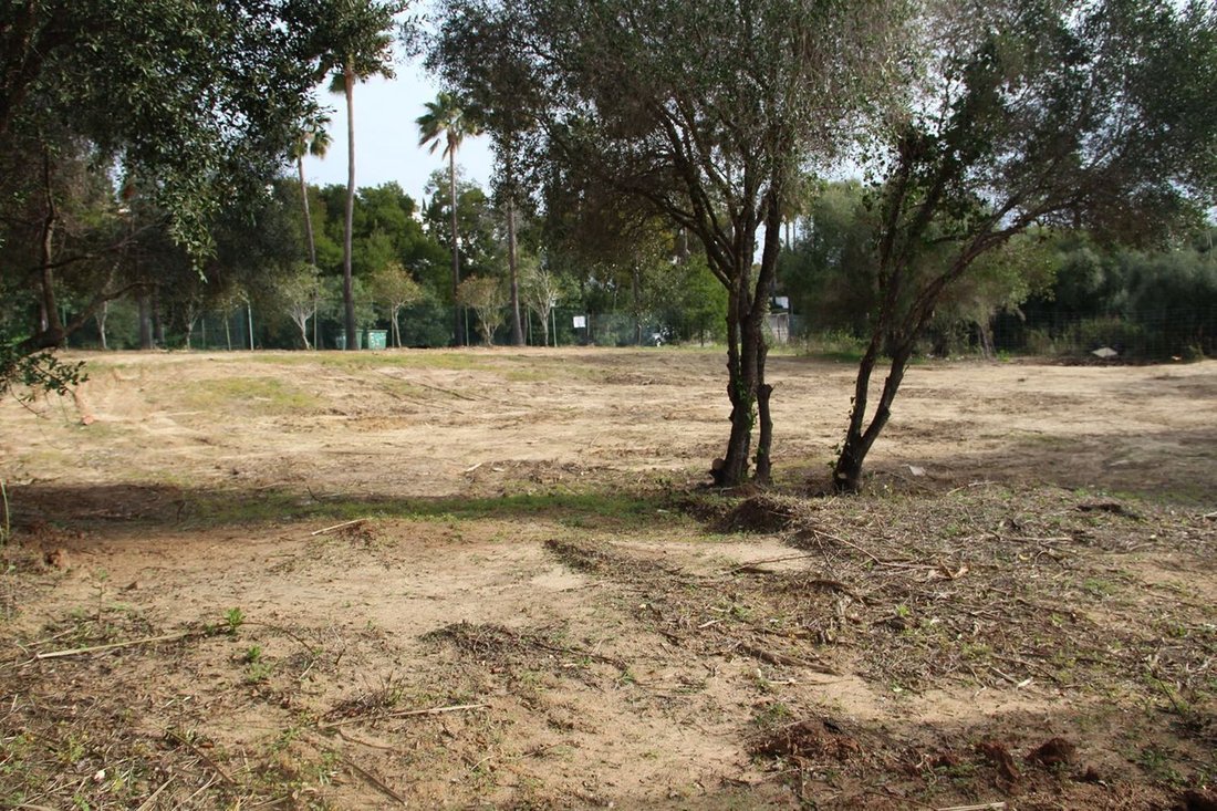 Land in Sotogrande, San Roque, Andalusia 5 - 14813685